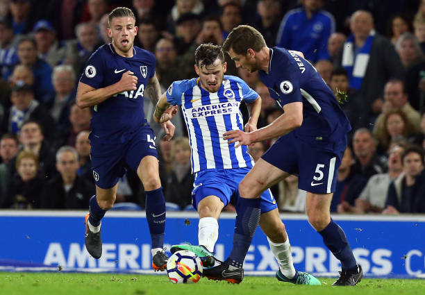 狮的表现证 狮的表现证